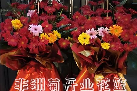 景德镇乐平市开业花篮